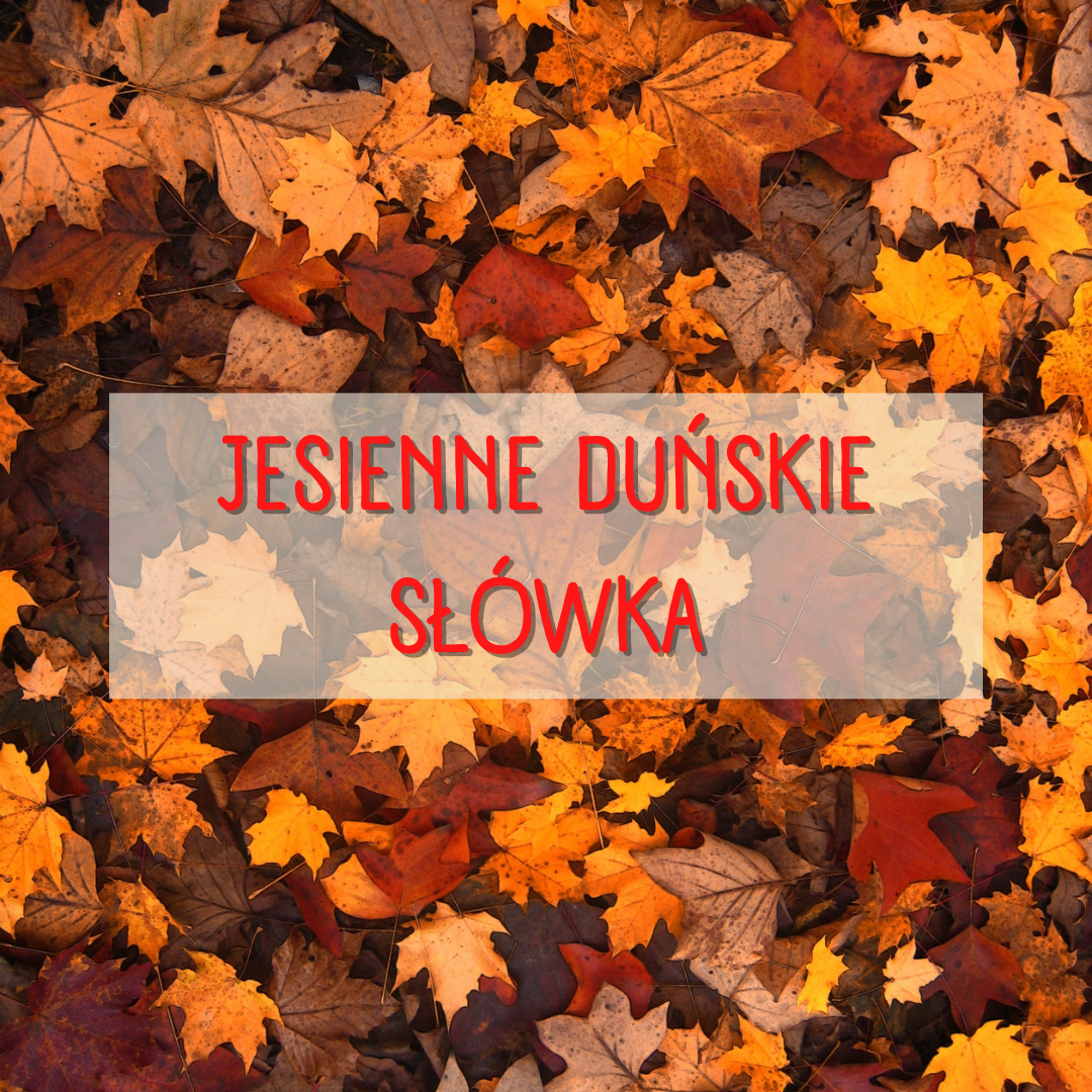 Duński jesienne słownictwo