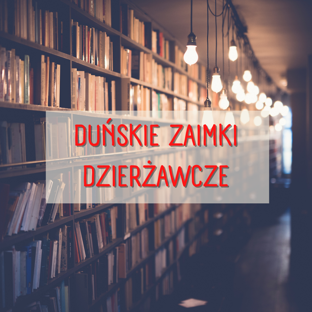 Duńskie zaimki dzierżawcze