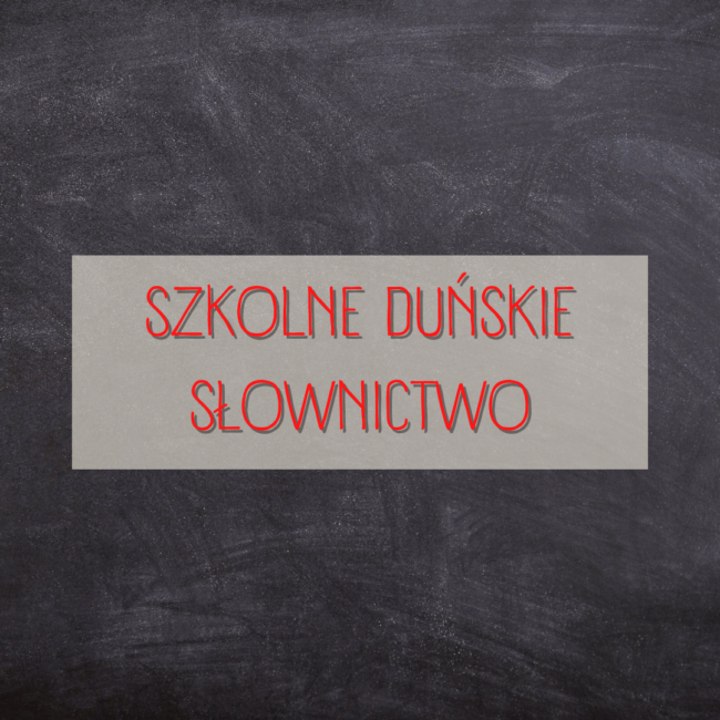 duńskie szkolne słownictwo