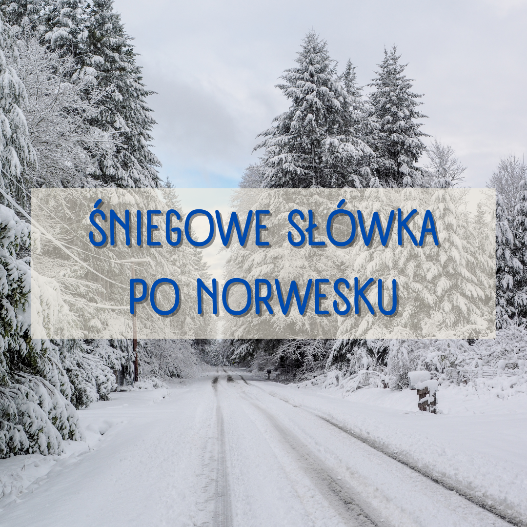 śniegowe słownictwo
