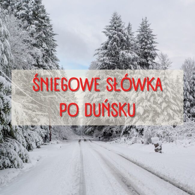 śniegowe słówka po duńsku