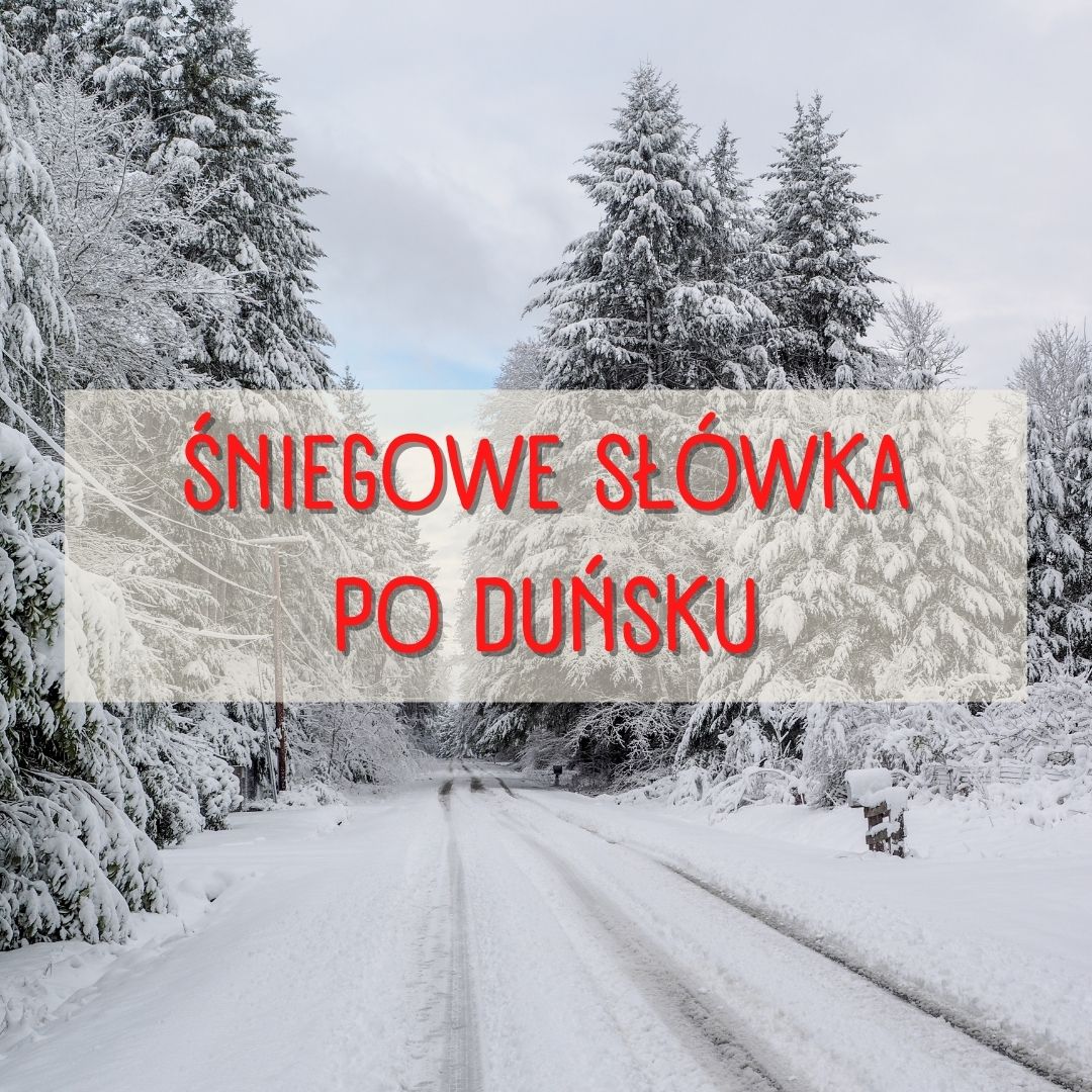 śniegowe słówka po duńsku