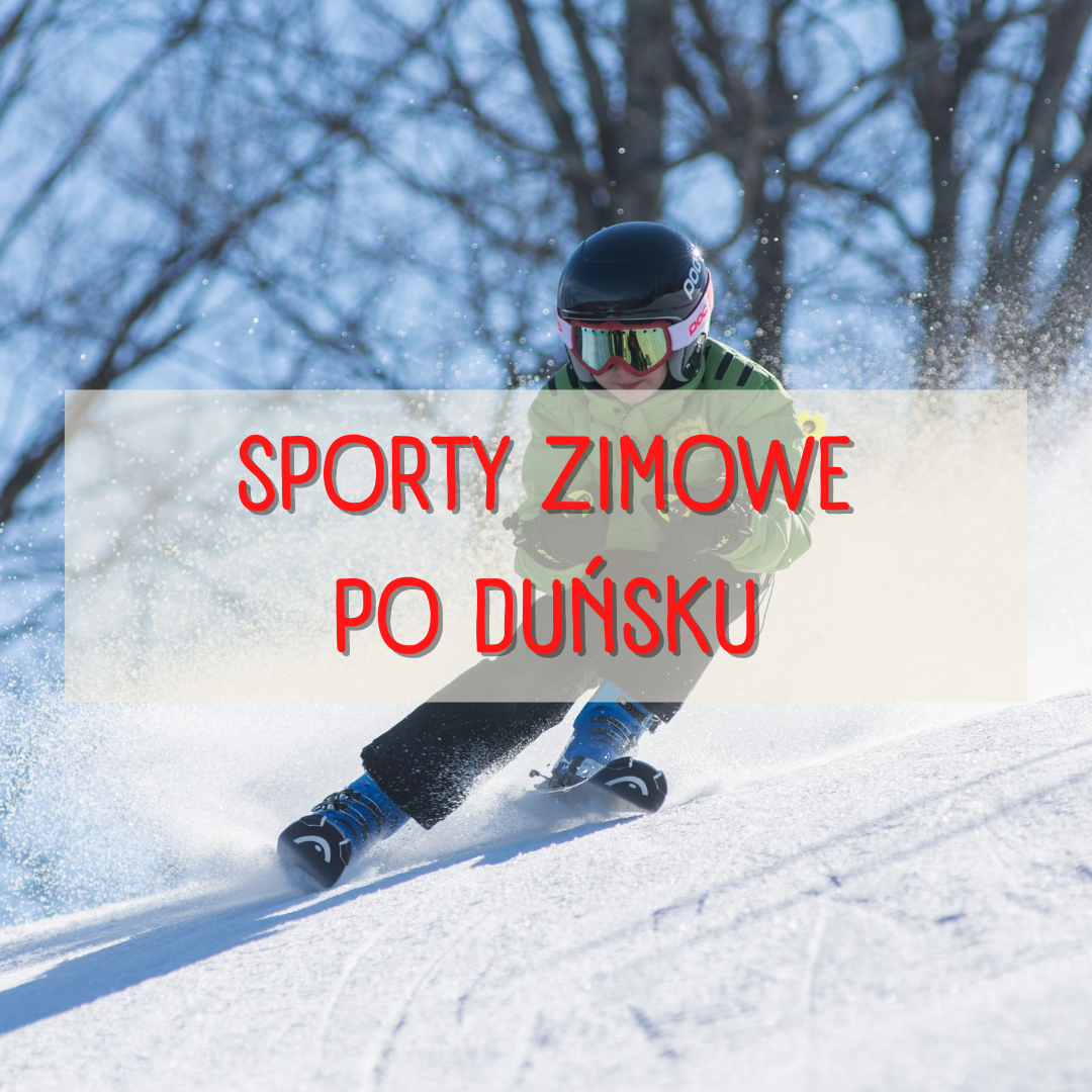 Sporty zimowe