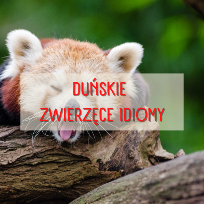 Duńskie zwierzęce idiomy