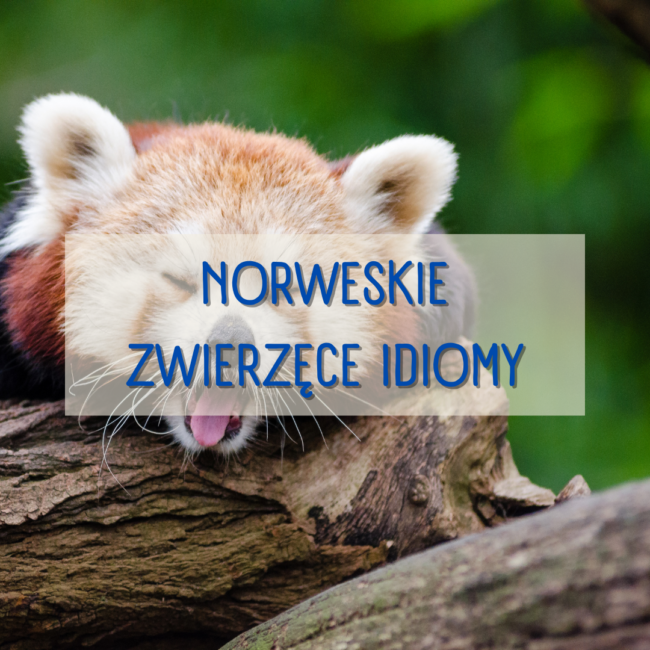 Norweskie zwierzęce idiomy