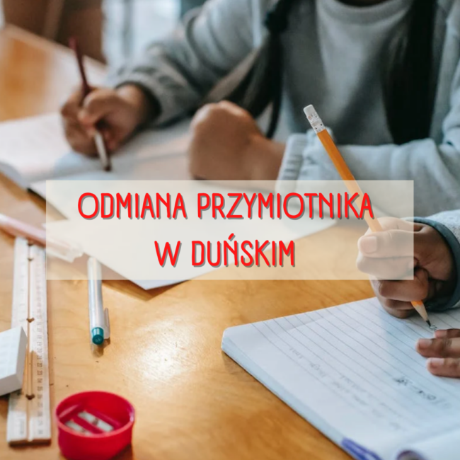 Odmiana przymiotnika w duńskim