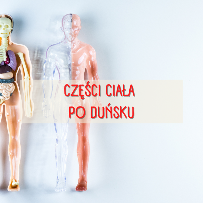 Części ciała po duńsku