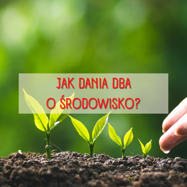 Jak Dania dba o środowisko