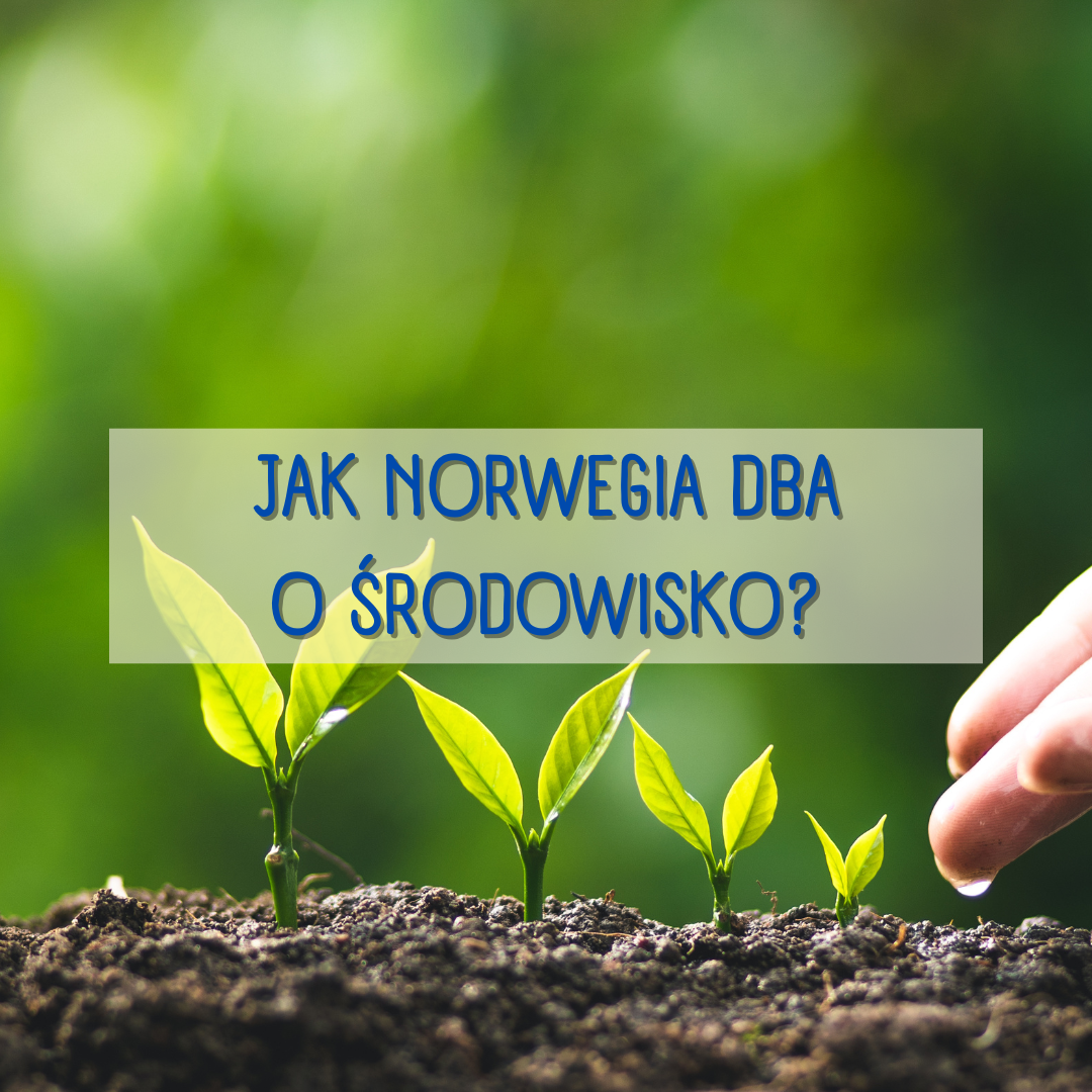 Jak Norwegia dba o środowisko?