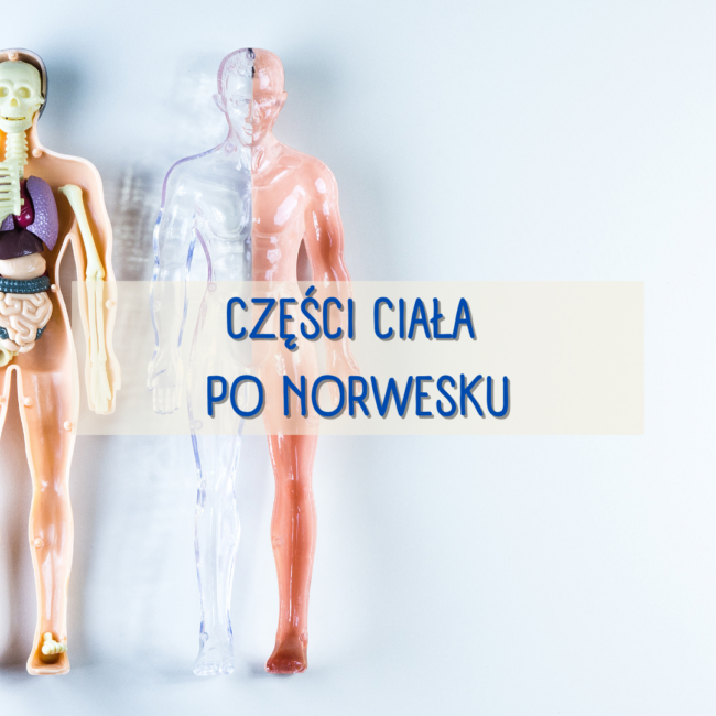 Części ciała po norwesku