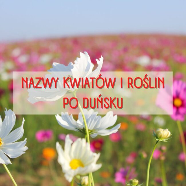 Nazwy kwiatów i roślin po duńsku