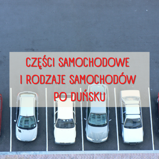 Części samochodowe i rodzaje samochodów po duńsku