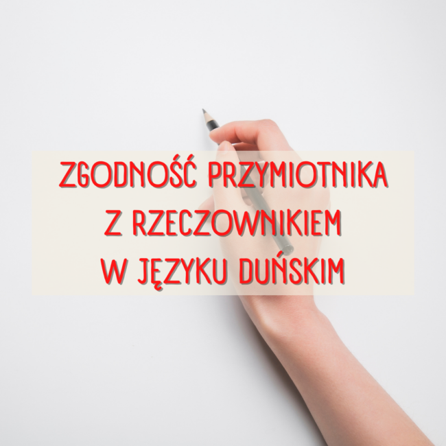 Zgodność przymiotnika z rzeczownikiem w języku duńskim