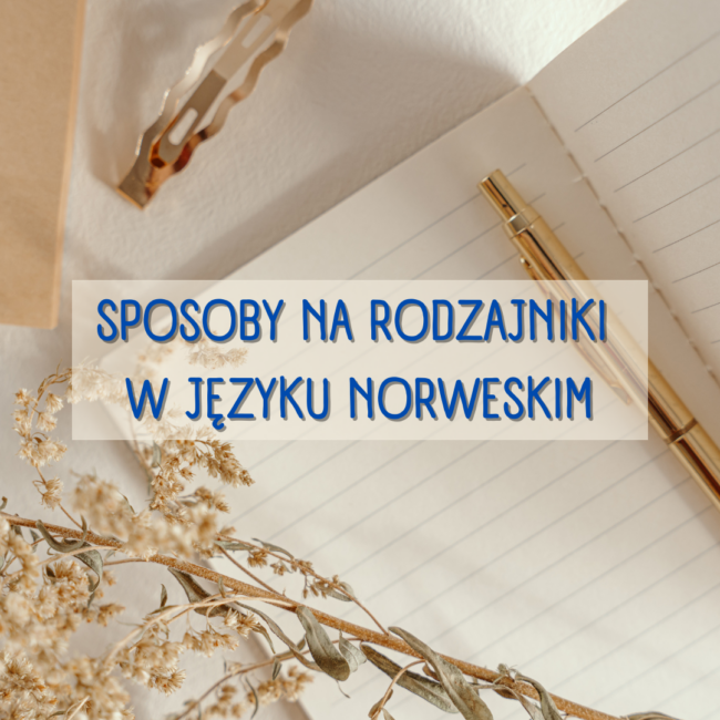 Sposoby na rodzajniki w języku norweskim okładka