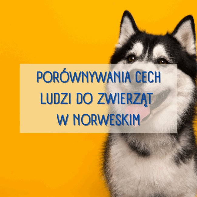 Porównywania cech ludzi do zwierząt w norweskim