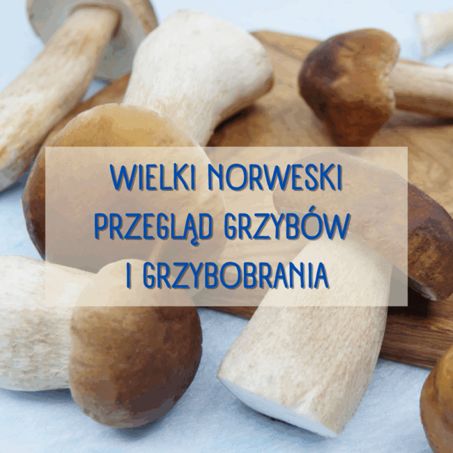 Wielki norweski przegląd grzybów i grzybobrania