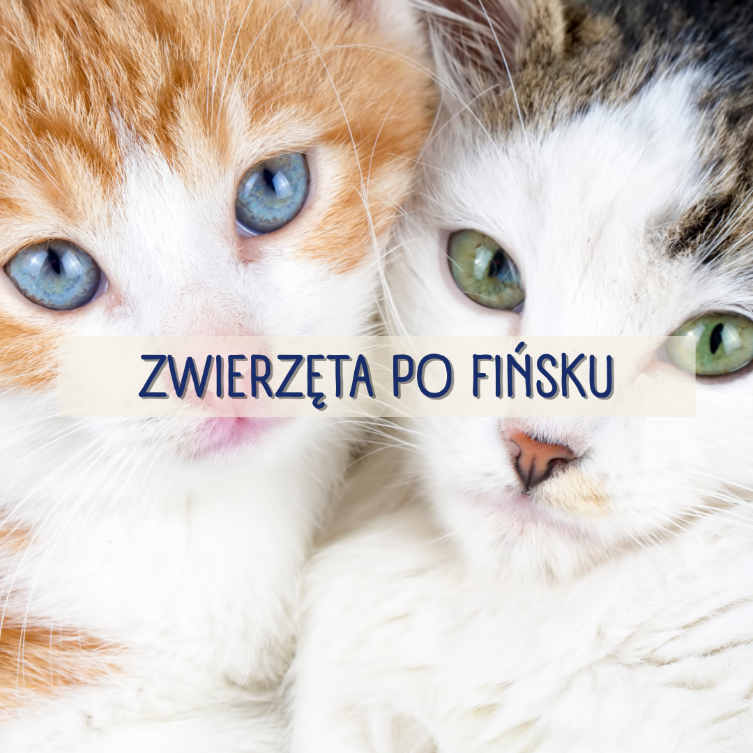 Zwierzęta po fińsku