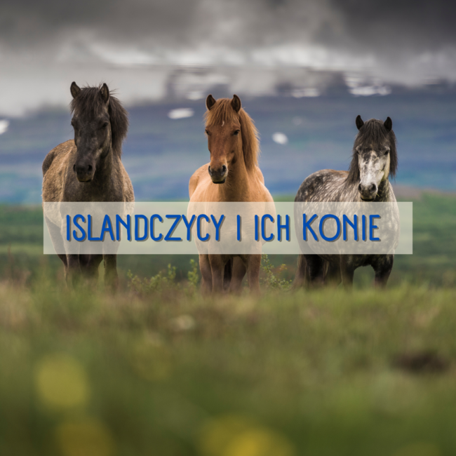 islandczycy i ich konie