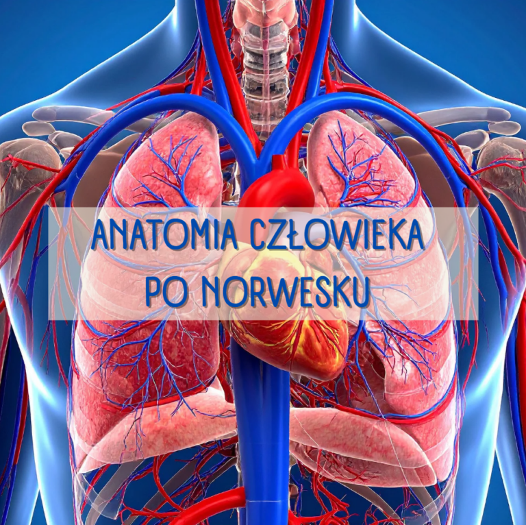 anatomia człowieka po norwesku