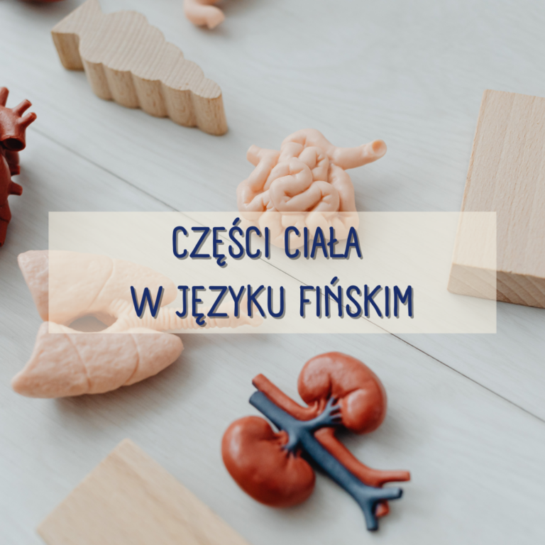 Części ciała w języku fińskim