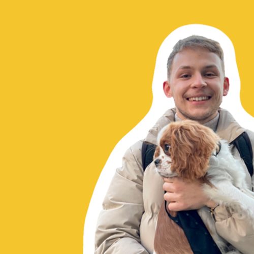 skuteczne kursy grupowe szwedzki online