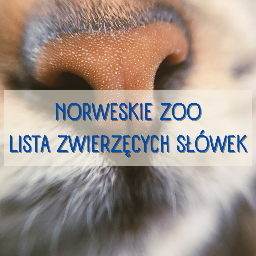 Norweskie zoo