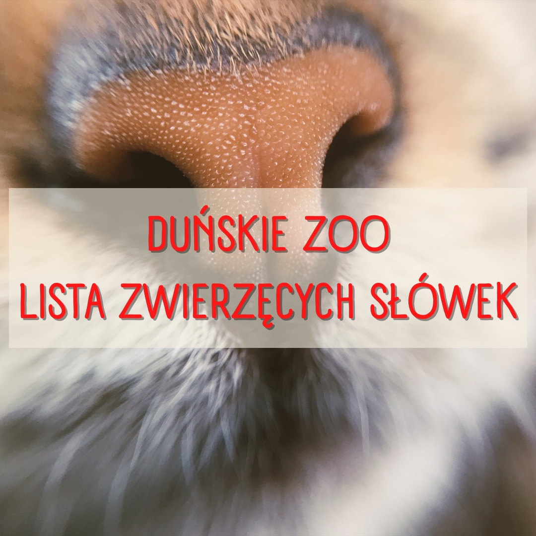 duńskie zoo